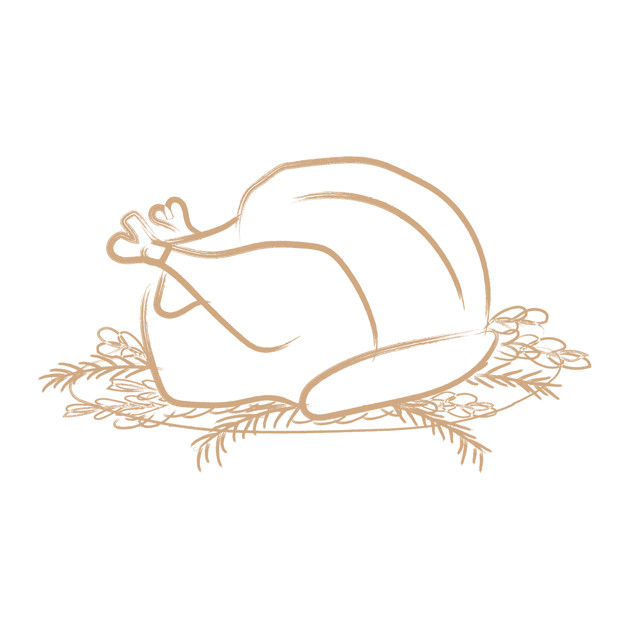 turkey illustration
